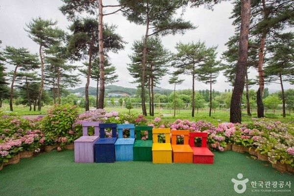 자라섬 )출처 =&nbsp;한국관광공사 포토코리아-송재근)