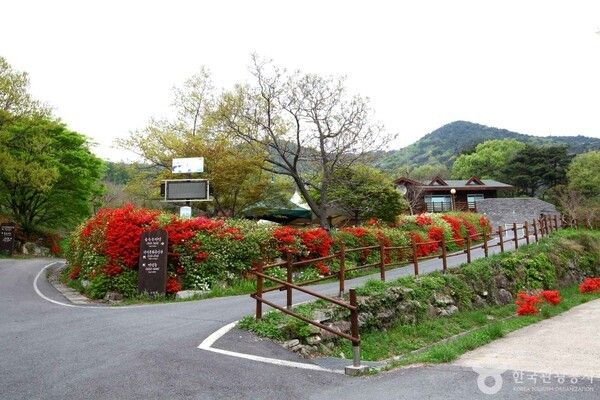 오어산자연휴양림 (출처 = 한국관광공사 포토코리아-이범수)