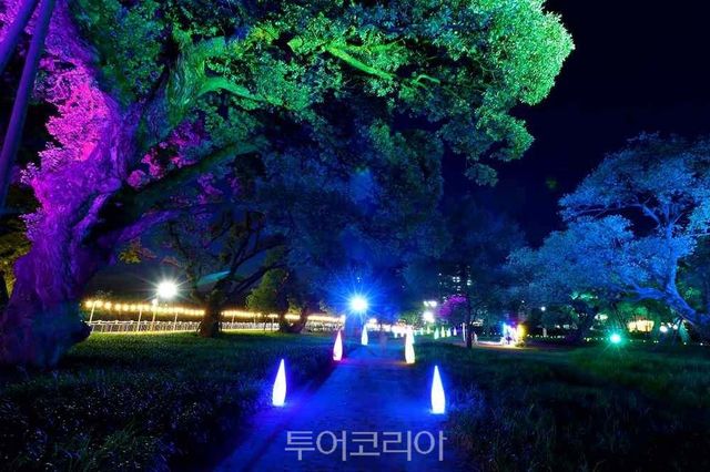 성주군 ‘성밖숲’ 야경 /사진-성주군