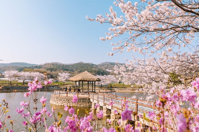 당진 면천읍성 골정지/사진=충남도