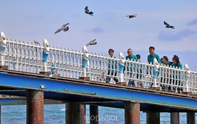 유인촌 문화체육관광부 장관이 23일 산불 피해 지역인 경북 영덕을 찾아 삼사해상공원 산책로를 살펴보고 있다./사진-문체부