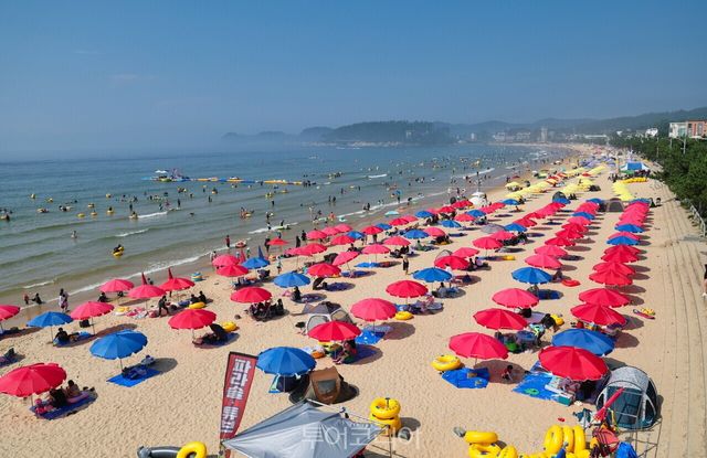 태안군 만리포 해수욕장/사진-태안군