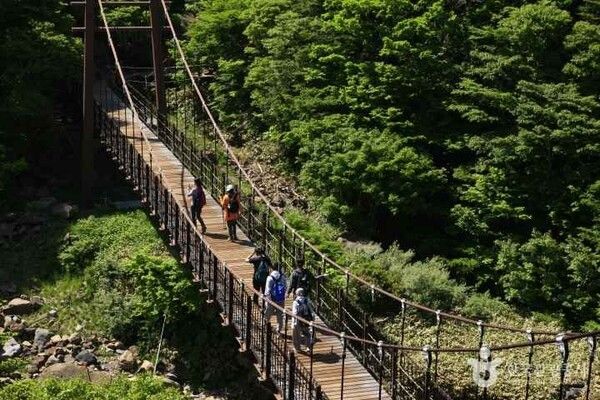 한라산 (출처=ⓒ한국관광공사 포토코리아-김지호)