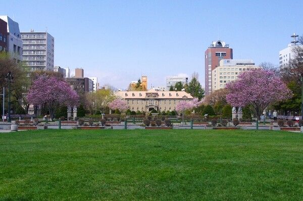 공원 삿포로 (출처=픽사베이)