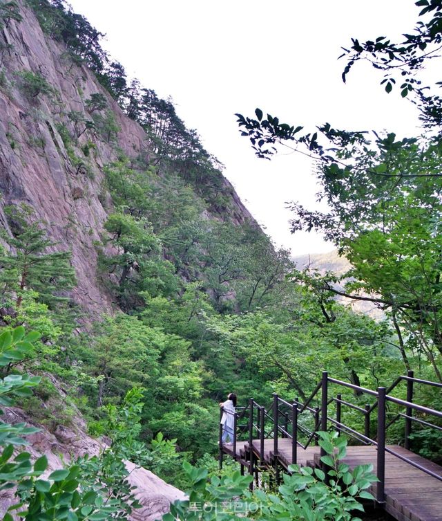 설악산 /사진-투어코리아