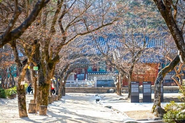 직지사 (출처=ⓒ한국관광공사 포토코리아-이범수)