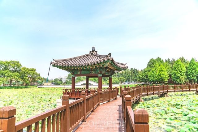 전주 덕진공원./사진=전주시