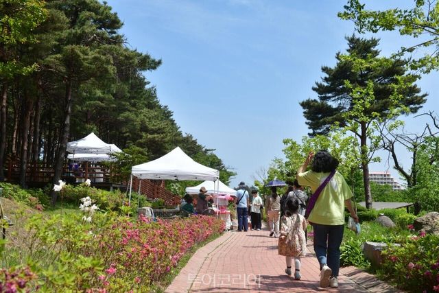 지난해 열린 노리숲길 숲속마켓 /사진-속초시