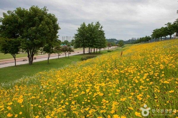 구미 낙동강체육공원 (출처=ⓒ한국관광공사 포토코리아-송재근)