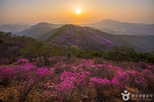 고려산 (출처=ⓒ한국관광공사 포토코리아-라이브스튜디오)