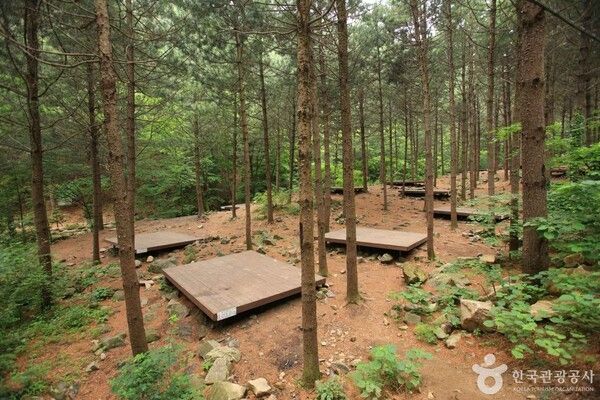산음자연휴양림 (출처=ⓒ한국관광공사 포토코리아-박성근)