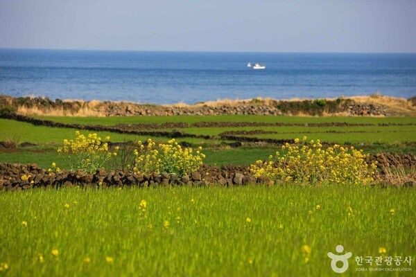 우도 (ⓒ한국관광공사 포토코리아-김지호)