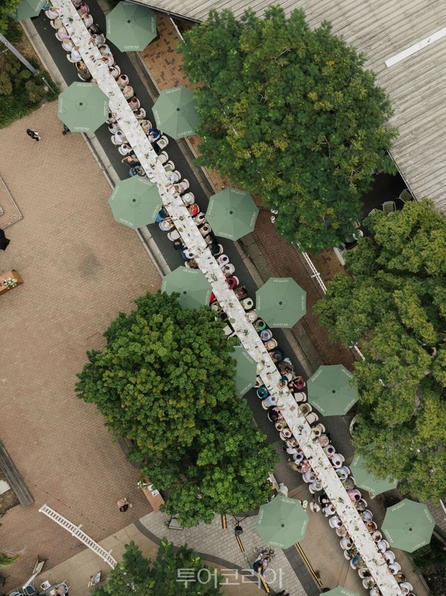 누사&nbsp;잇앤드링크&nbsp;페스티벌&nbsp;롱&nbsp;런치/사진-호주 퀸즐랜드주 관광청