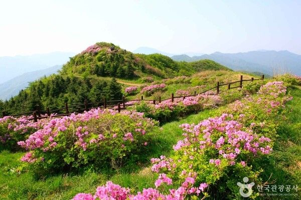 지리산 (ⓒ한국관광공사 포토코리아-김지호)