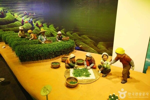 한국차박물관 (ⓒ한국관광공사 포토코리아-이범수)