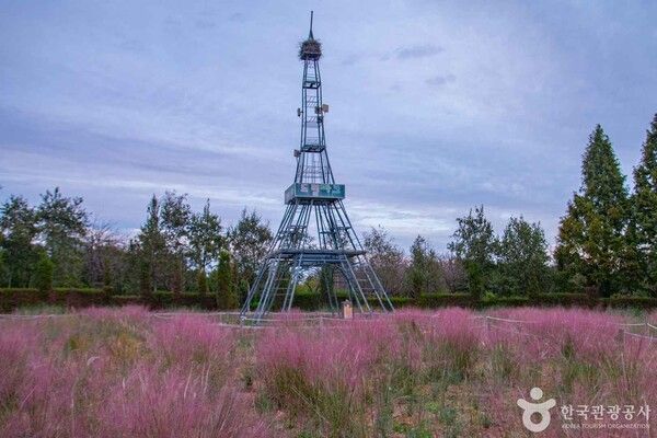 수도권매립지 야생화단지 드림파크 (ⓒ한국관광공사 포토코리아-김경빈)