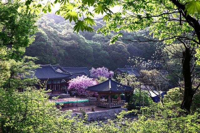 서산한우목장 전경 개심사 전경/사진-서산시