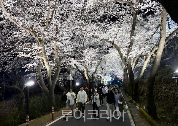 자료사진. /사진-하동군