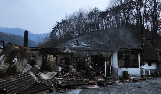 산불에 전소된 임하면 임하양조장