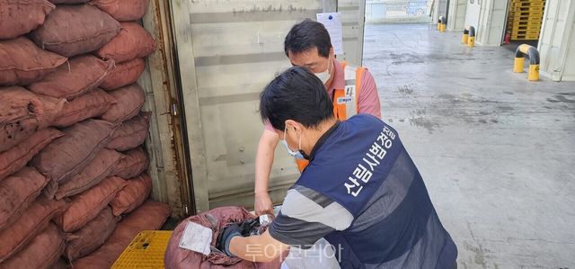 단속반이 법·불량 목재제품 품질단속을 하고 있다/사진-산림청