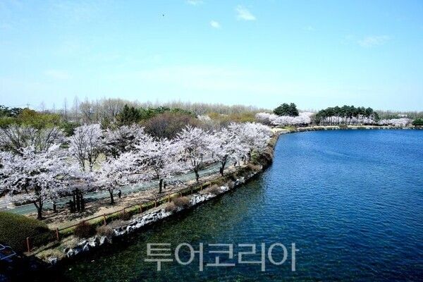 고양시 일산호수공원 풍경/투어코리아뉴스 정명달 기자