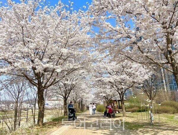 창릉천 둑방길/투어코리아뉴스 정명달 기자