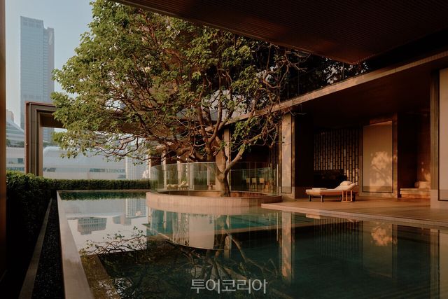 아만 나이 러트 방콕 풀 전경 /사진-아만