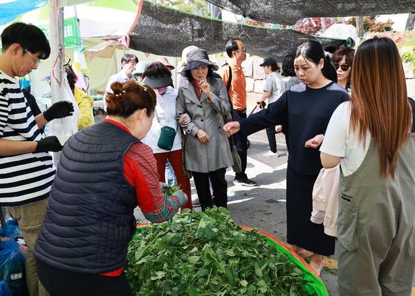 사진은 작년 영양 산나물 축제 모습./사진-영양군