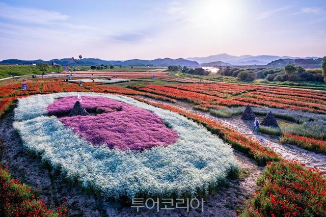 함안 악양둑방길&악양생태공원