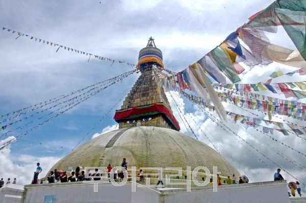 보드나트/사진-투어코리아DB