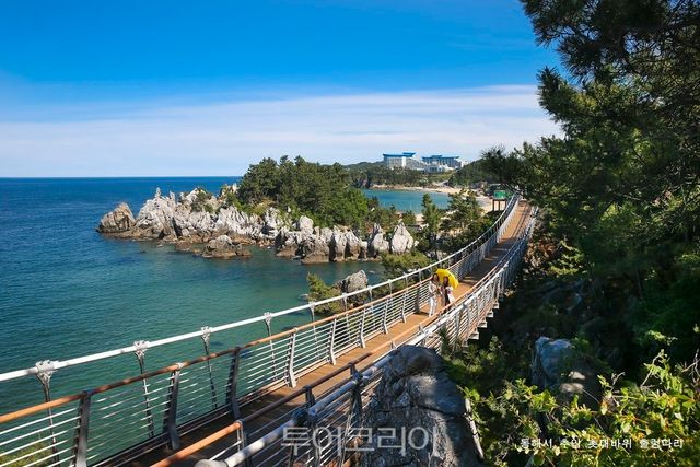 동해 추암 촛대바위 출렁다리