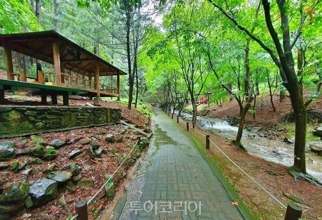 봉학골 산림욕장 산책길 /사진-음성군