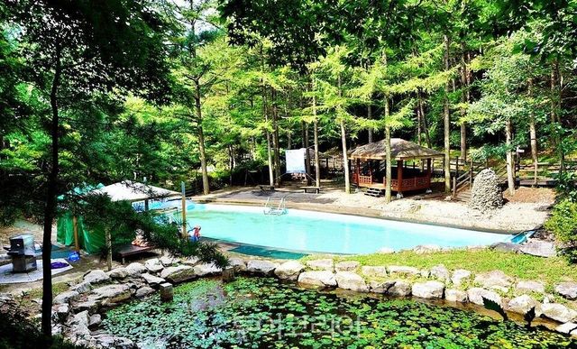 봉학골 산림욕장 산책길 /사진-음성군