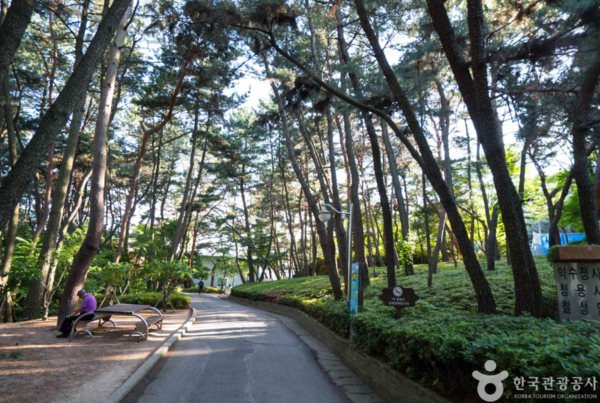 ⓒ한국관광공사 포토코리아-김지호 / 금강공원