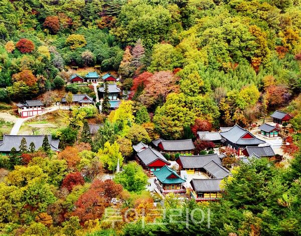 쌍계사 전경. /사진-하동군