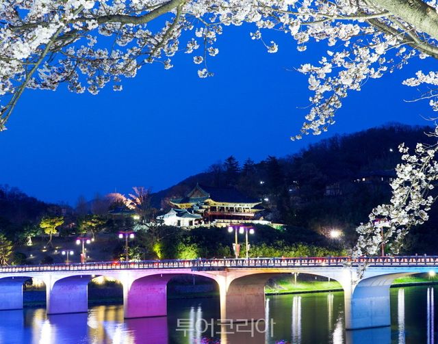 영남루 벚꽃야경