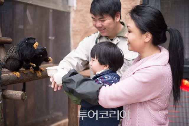 사진/홍콩오션파크 제공