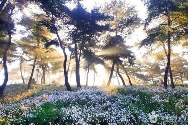 ⓒ한국관광공사 포토코리아-김진관