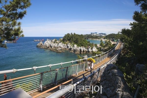 추암촛대바위 출렁다리