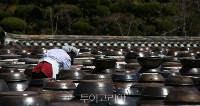 고스락/사진-익산시