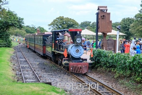 제주 에코랜드/사진-트립닷컴