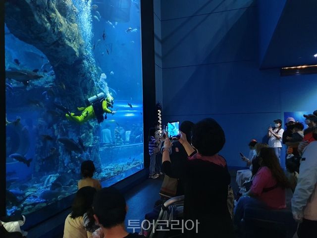 다누리아쿠아리움 / 사진-단양군