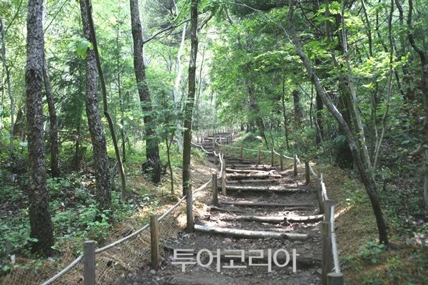 다산초당 오솔길/사진-투어코리아