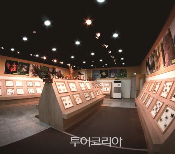 회문산자연휴양림/사진-국립자연휴양림관리소