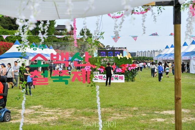 소백산에 철쭉 핀 풍경/사진-영주시