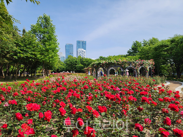 인천시설공단 송도공원사업단의 해돋이공원