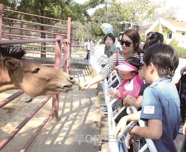 전주동물원/사진-전주시