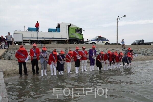 지난해 섬 밴댕이 축제 모습. /사진-신안군