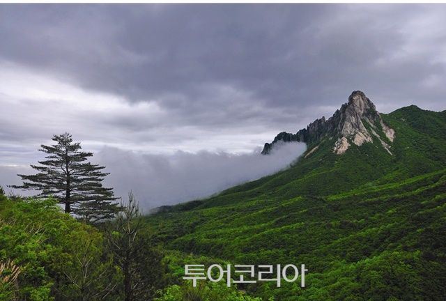 울산바위/사진-속초시