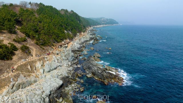 &nbsp;영덕 블루로드. /사진-영덕군